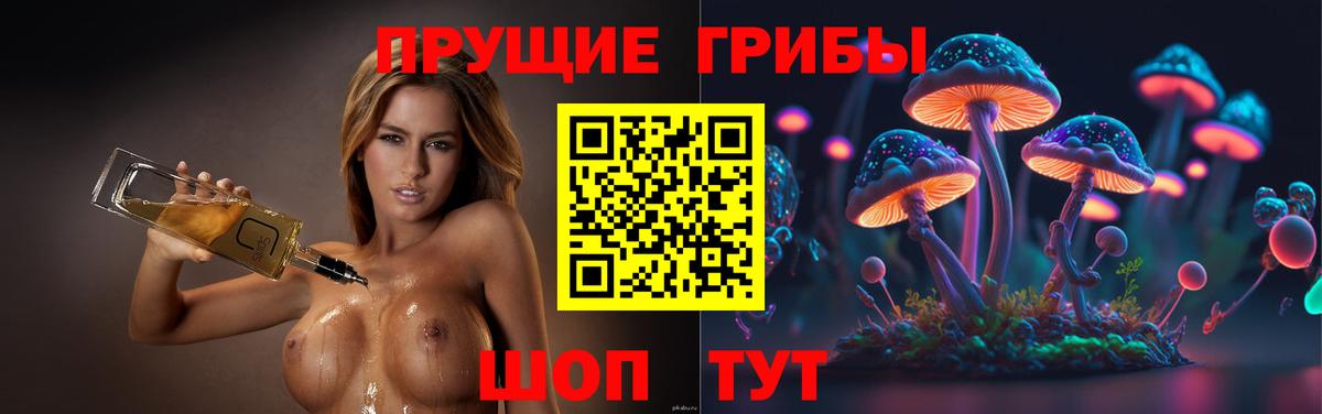Галлюциногенные грибы ЛСД  Вход с VPN  Галлюциногенные грибы Magic Shrooms  Сочи 